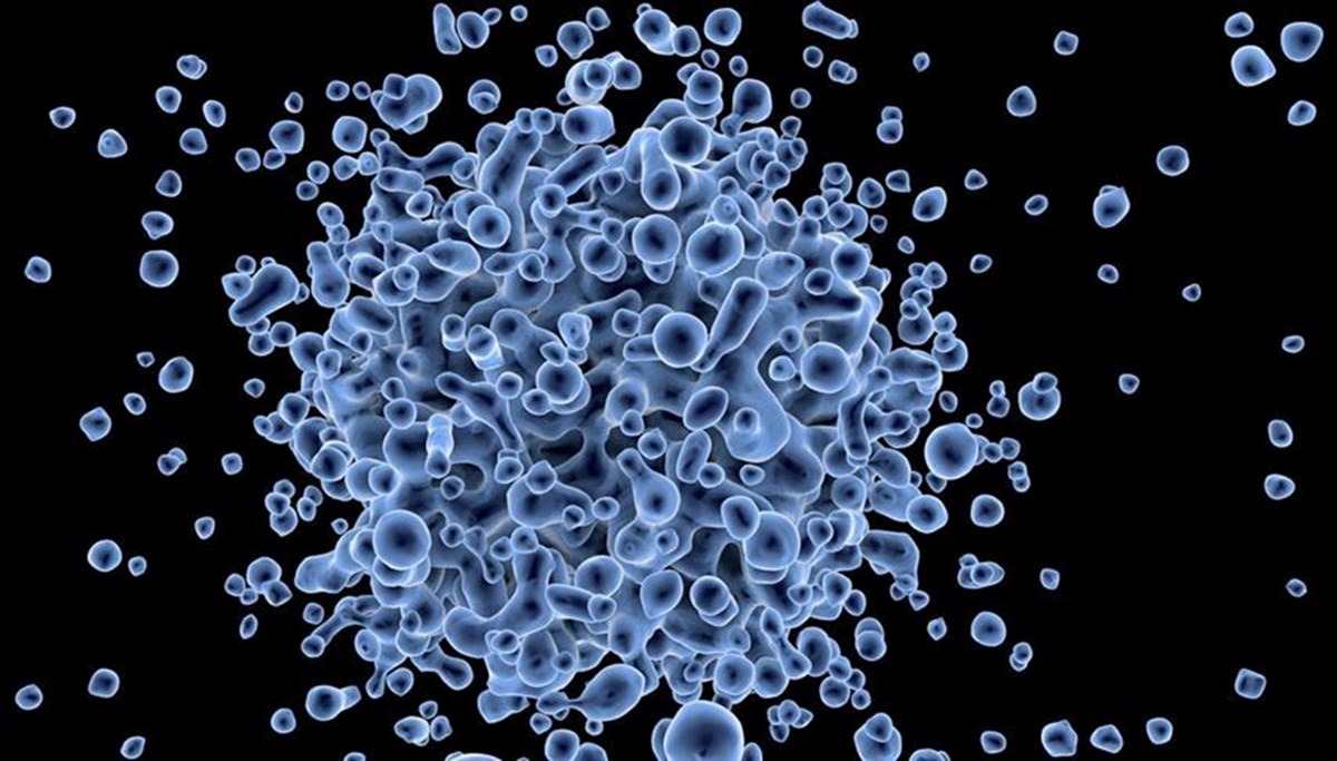 Septik şok (sepsis) nedir, neden olur? Septik şok (sepsis) nedir, neden olur?