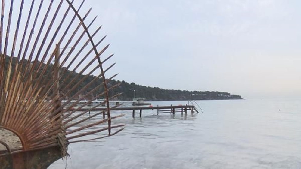 Büyükada'yı 'salya' sardı - 2