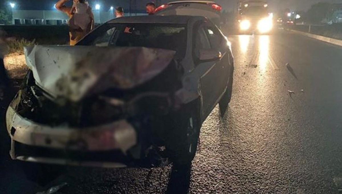 Adana'da otomobil koyun sürüsüne daldı: 100 koyun telef oldu Adana'da otomobil koyun sürüsüne daldı: 100 koyun telef oldu