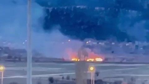 Sazlığı ateşe verdiler! Binlerce canlı telef oldu
