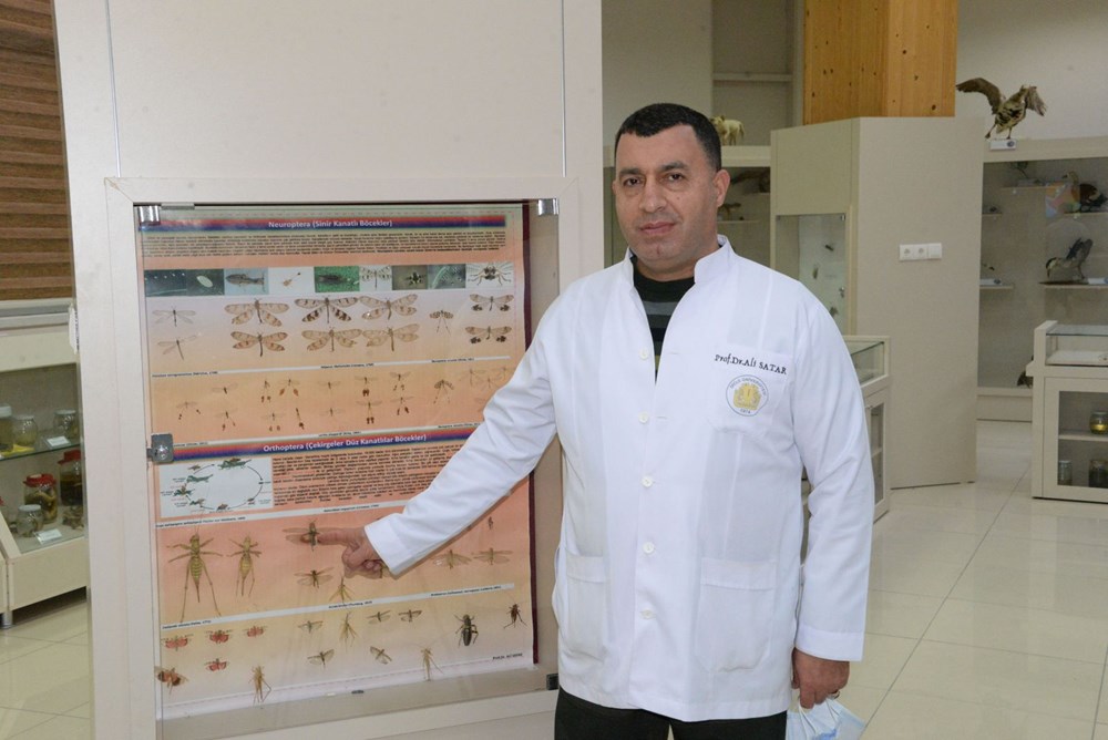Prof. Dr. Satar: Önlem alınmazsa yumurtadaki çekirgeler 2021'de istilaya neden olur - 5