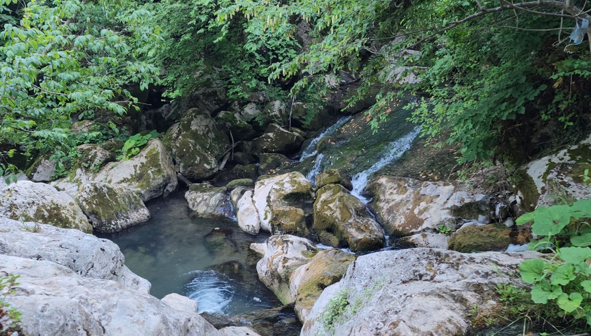 Türkiye'nin dört bir yanından ziyaretçi akınına uğruyor