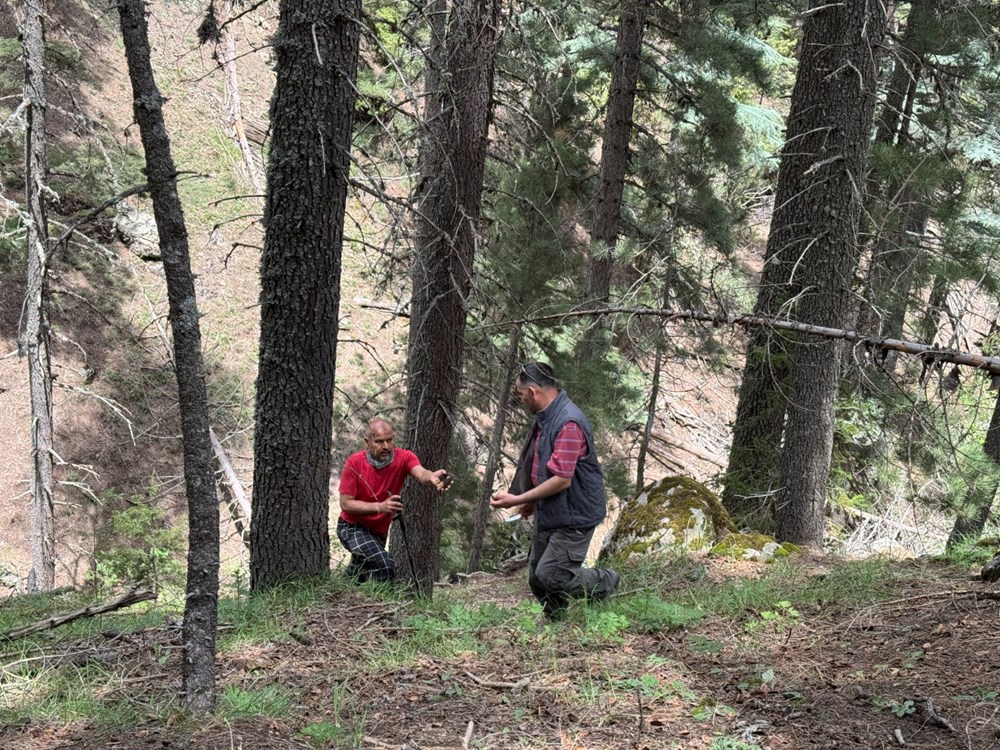 Tabiatta kendi kendine yetişiyor, halk ortasında "göbelek" deniliyor: "Altın bulsak bu kadar sevinmeyiz" 73 apLXpPMoMEa6kkRTVOjokg