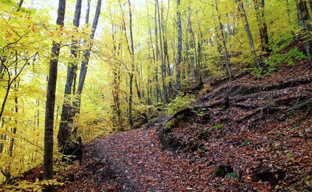 Türkiye'nin Milli Parkları (Türkiye'deki milli parkların listesi ve isimleri) - 65