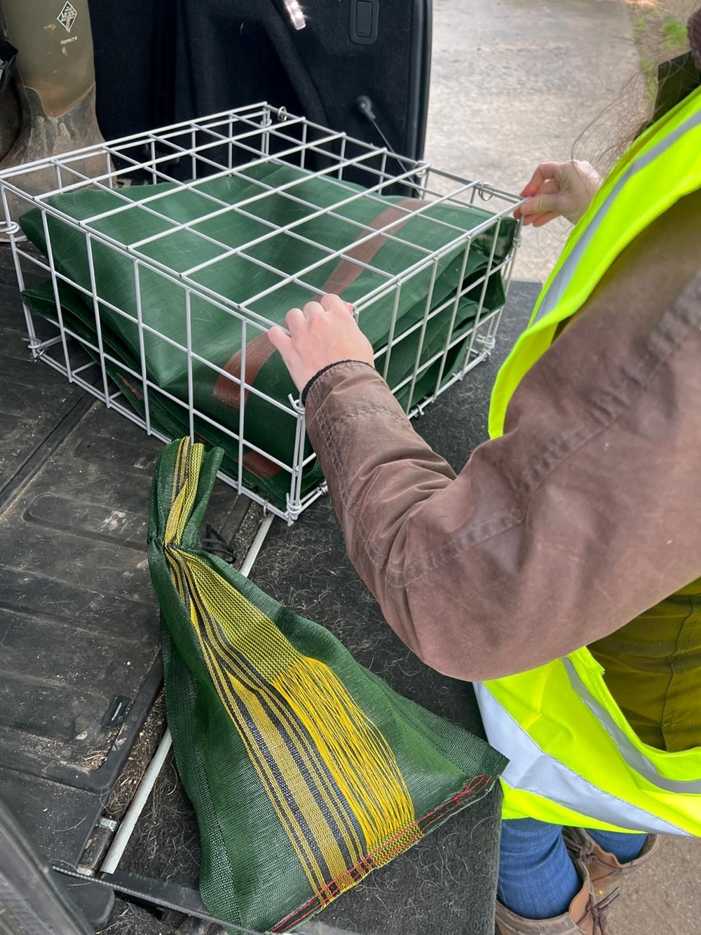 “Fosfogeddon” krizini çözen bilim insanı 75 bin sterlinlik ödülü kazandı - 3