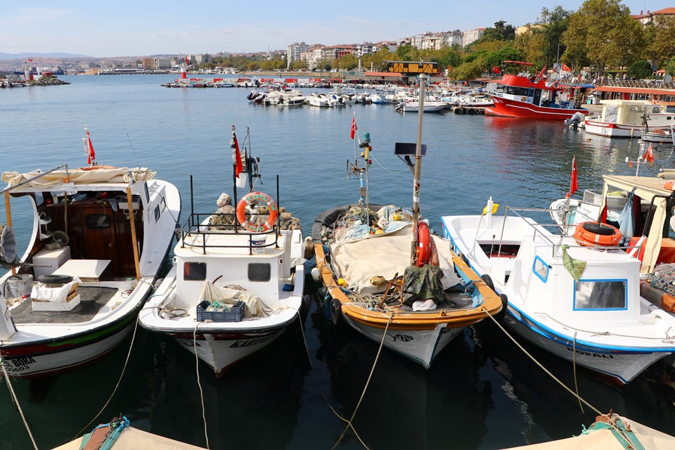 Balıkçılar hamsiyi Karadeniz'de arayacak - 1