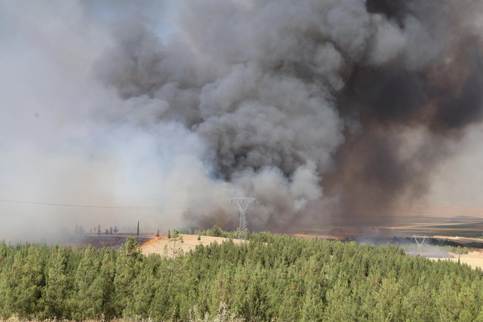 Şanlıurfa'da orman yangını - 1