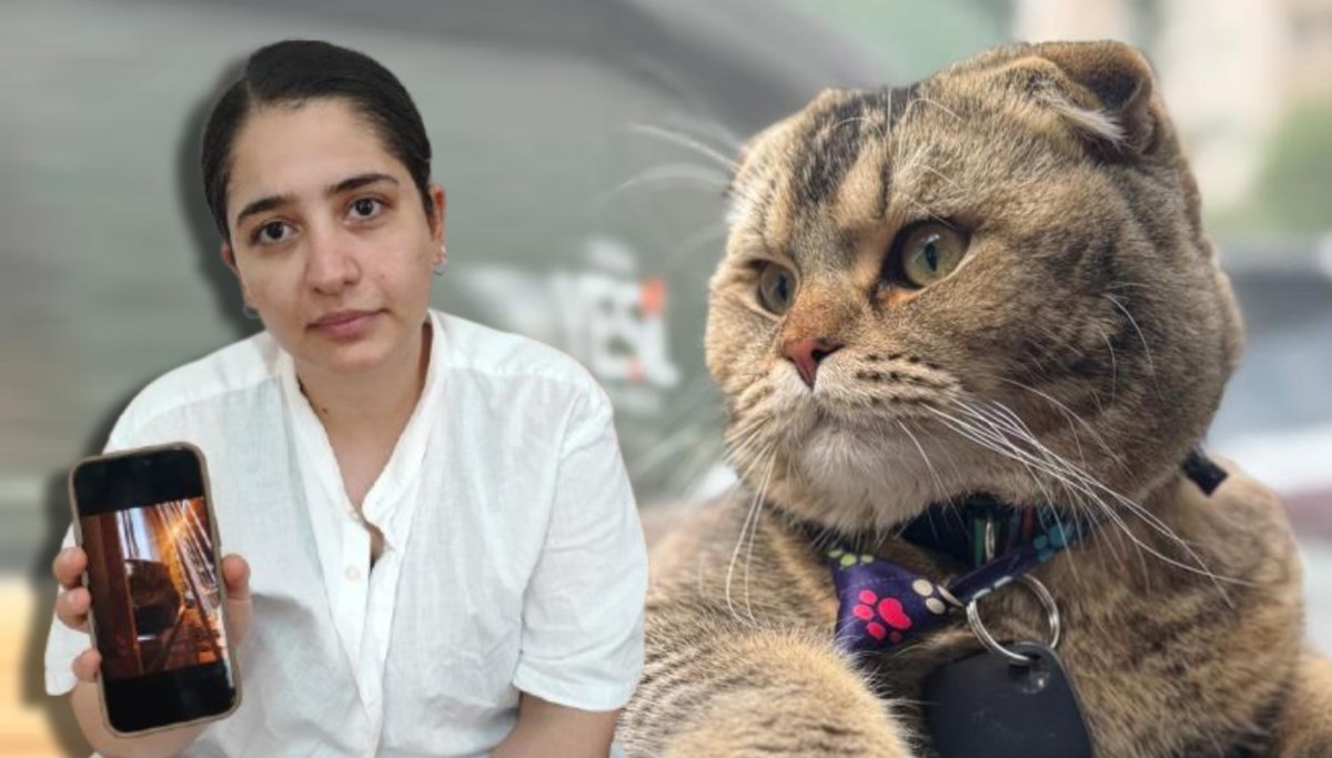 Bu evliliğin kaderi kediye bağlı: 