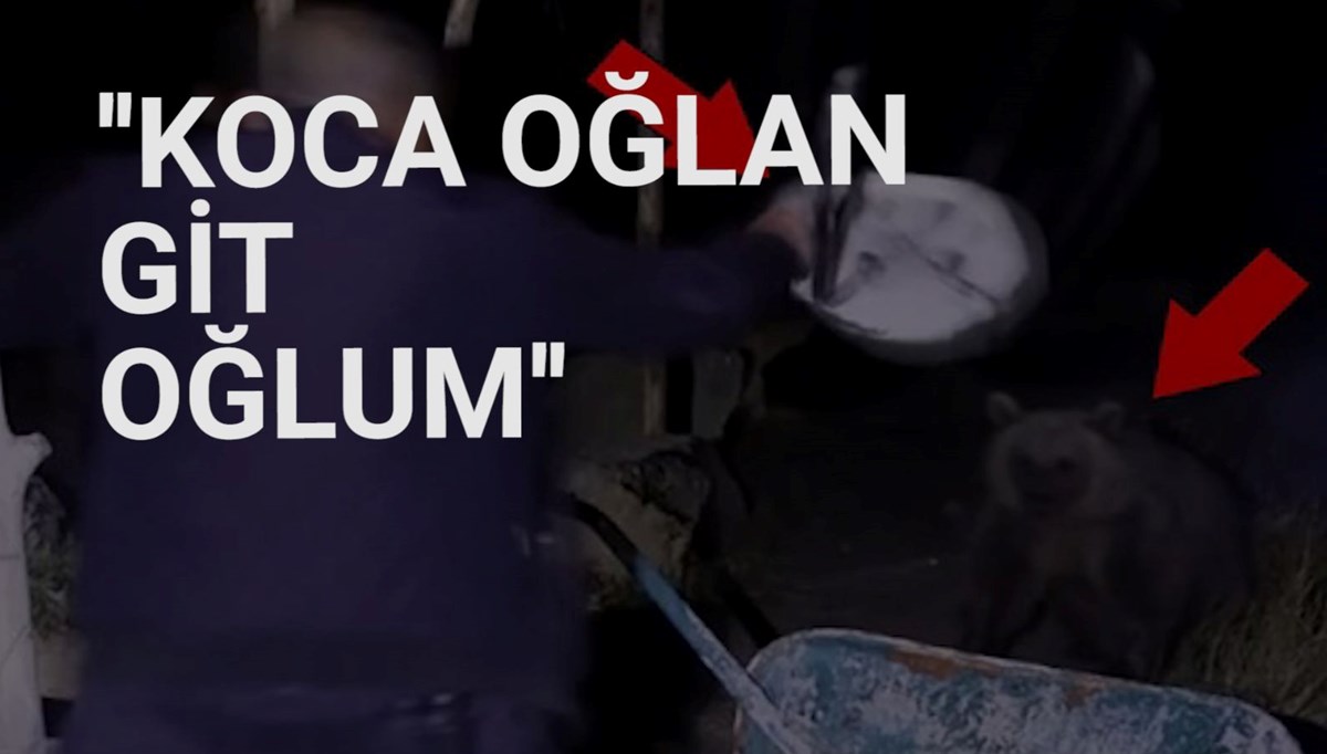 Piknik masasına gelen ayıyı tabure ile kovaladı
