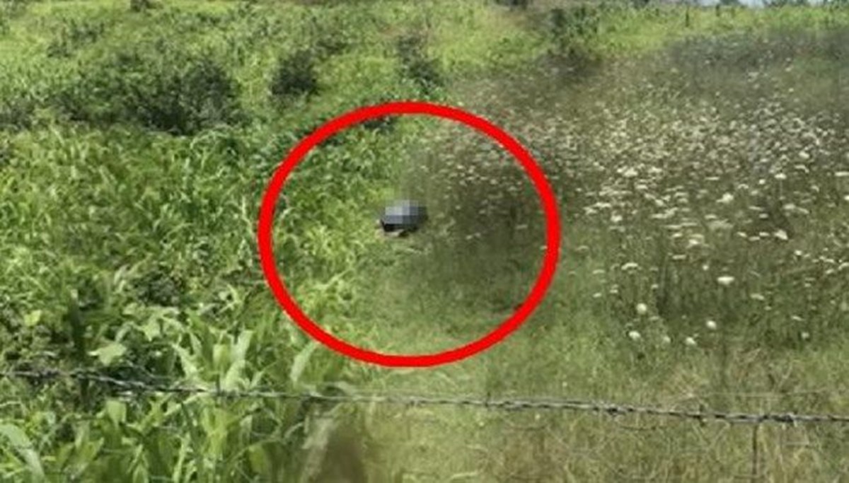 Köpeğe cinsel saldırı sanığı: Üzerine düştüm