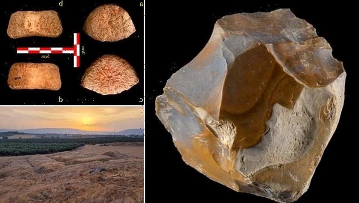 İsrail'de 1,5 milyon yıllık insan omuru bulundu: İnsanlık tarihinin bilinmeyenleri ortaya çıktı