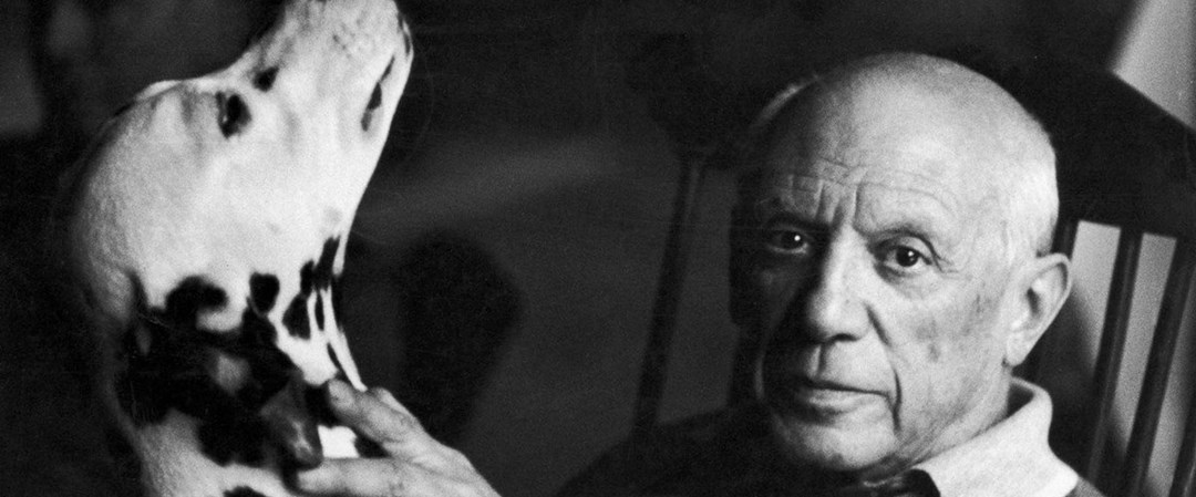 Пабло пикассо (1881 — 1973 гг). Пикассо метаморфозы. Пабло пикассо лошадь кубизм. Пабло пикассо в молодости. Пикассо тушь.