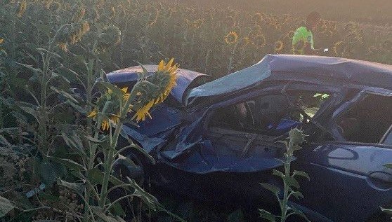 Otomobil ayçiçeği tarlasına devrildi: 3 yaralı