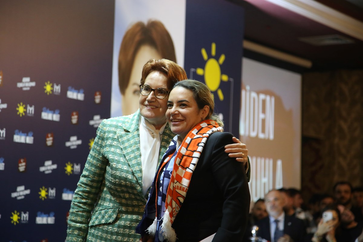 Akşener, Alparslan Türkeş