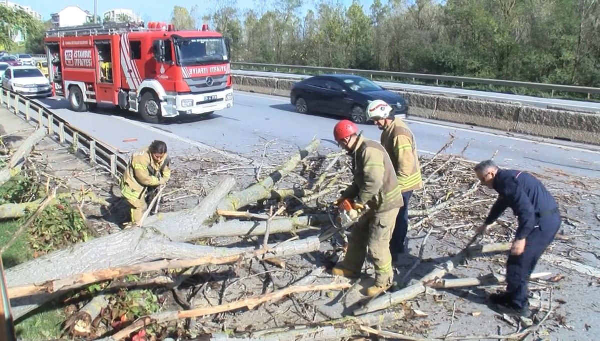 TEM bağlantı yolunda ağaç devrildi, trafik durdu