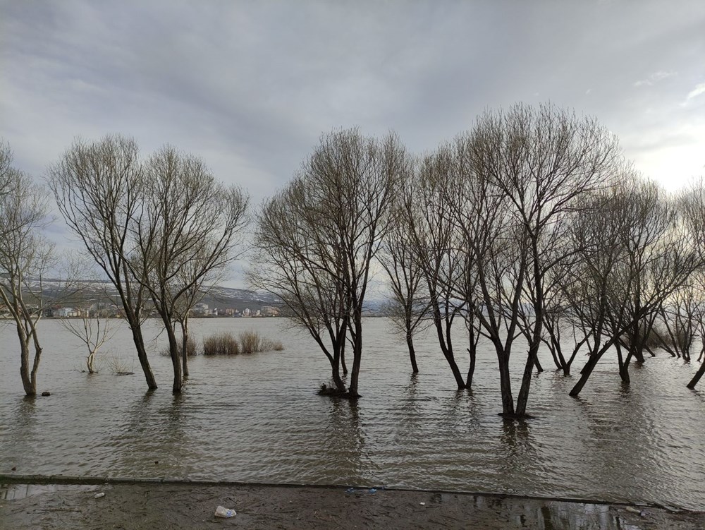 Kura Nehri üçüncü kez taştı: Ova göle döndü - 7