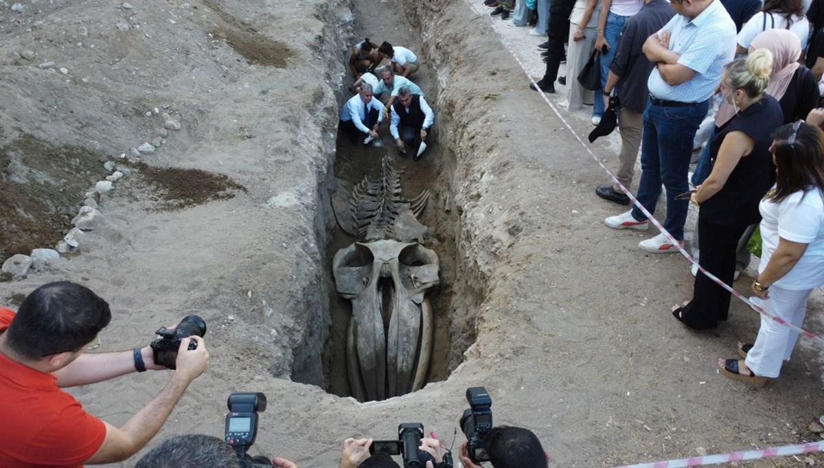 Mersin'de heyecanlandıran keşif!
