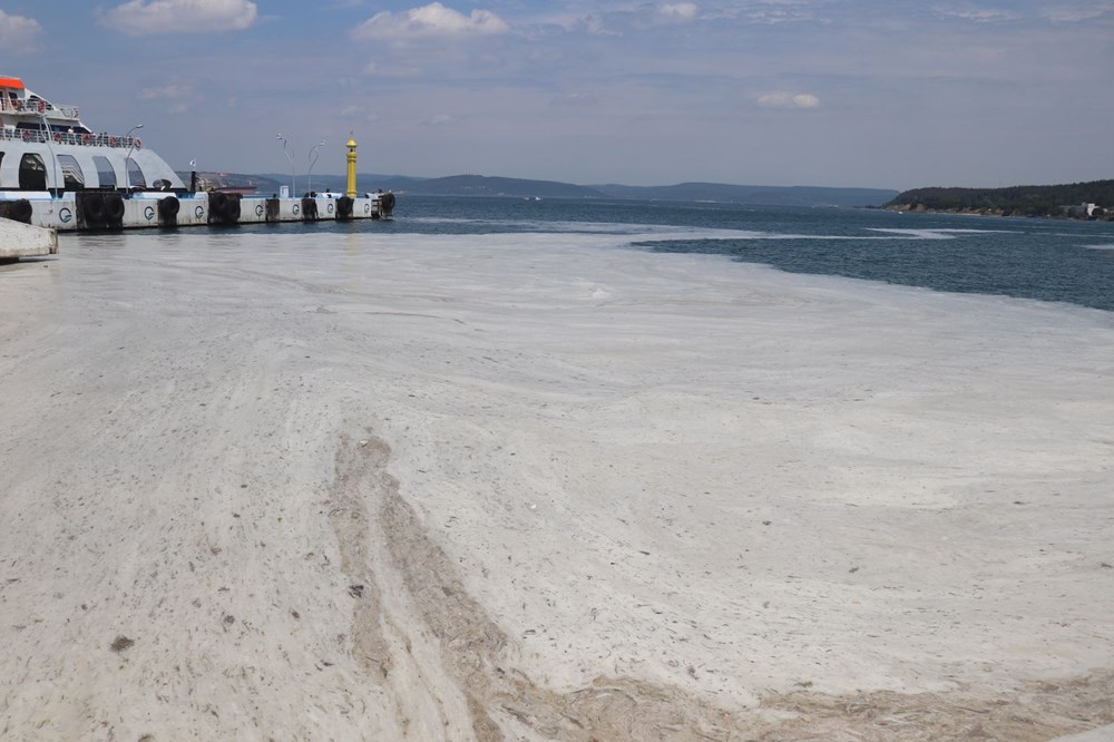 Müsilaj balıklarda zehir etkisi yaratır mı? Uzmanı yanıtladı - 1