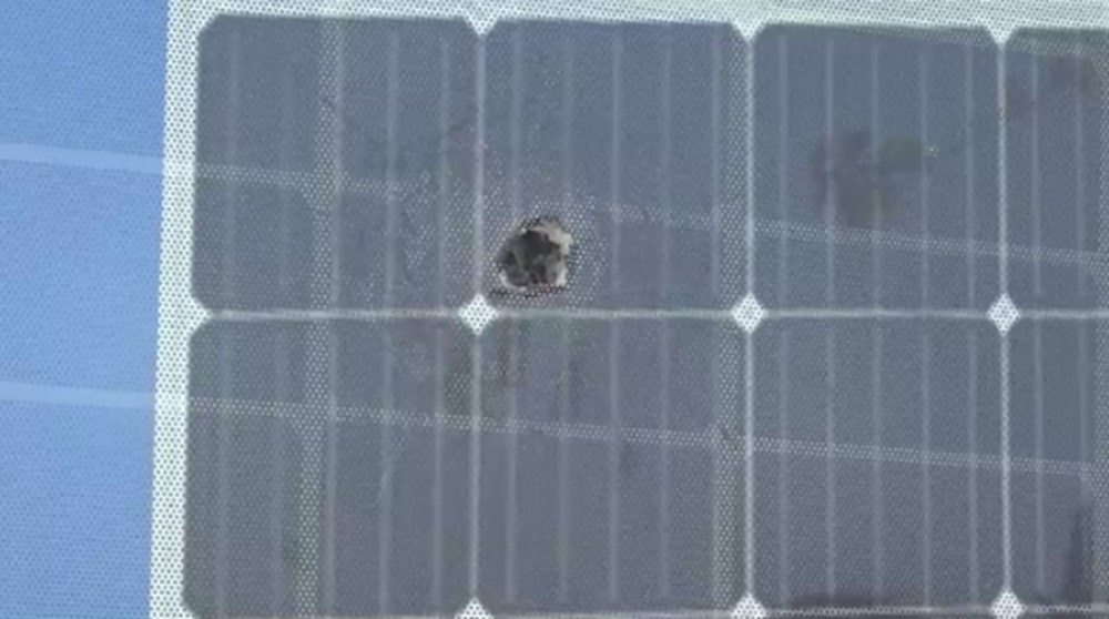 Yaktılar, kurşunladılar, 1 milyon lira ceza kestiler - 3