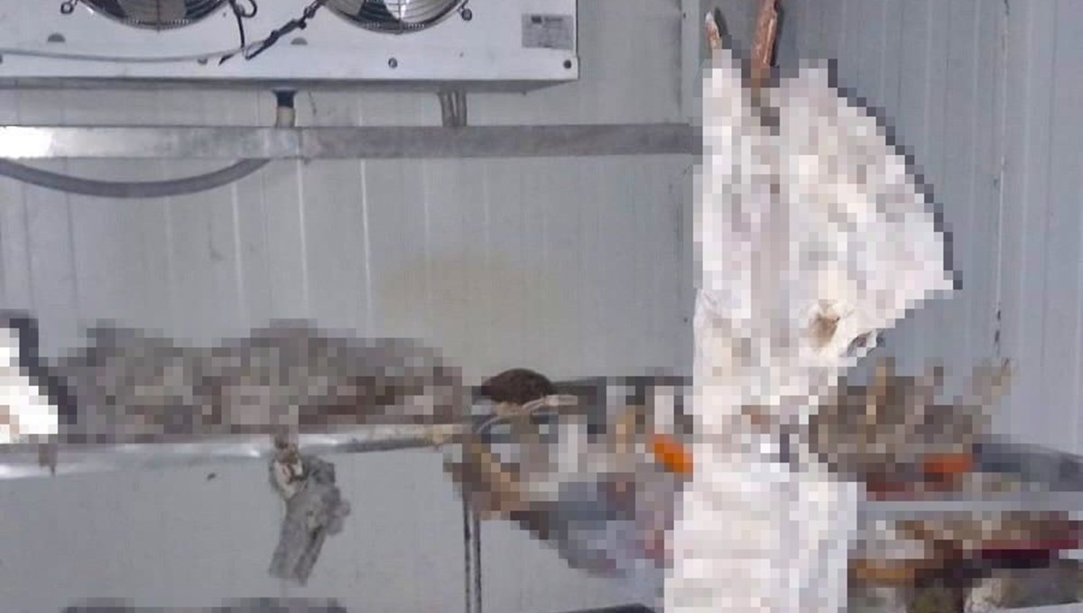 Etlerin çürüdüğü dükkan temizlendi Etlerin çürüdüğü dükkan temizlendi