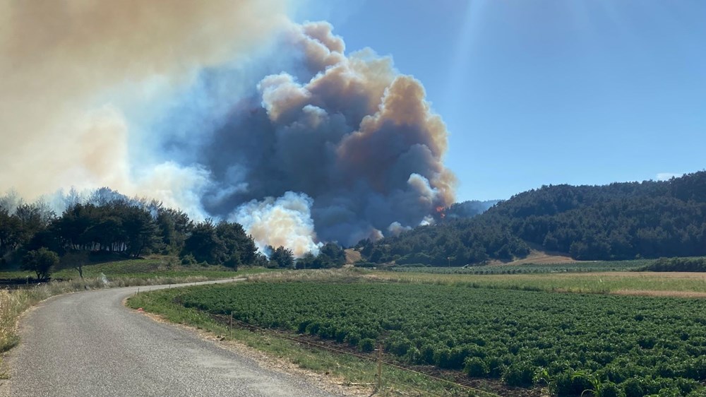 Çanakkale'nin ciğerleri yandı! Tam 952 futbol sahası büyüklüğünde - 6