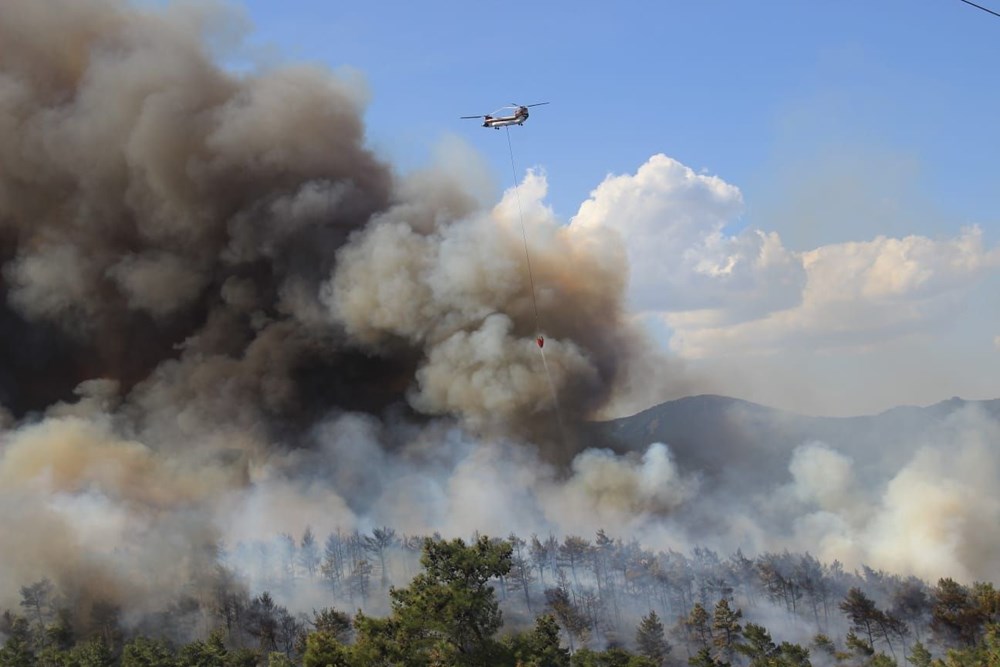 Çanakkale'de orman yangını - 3