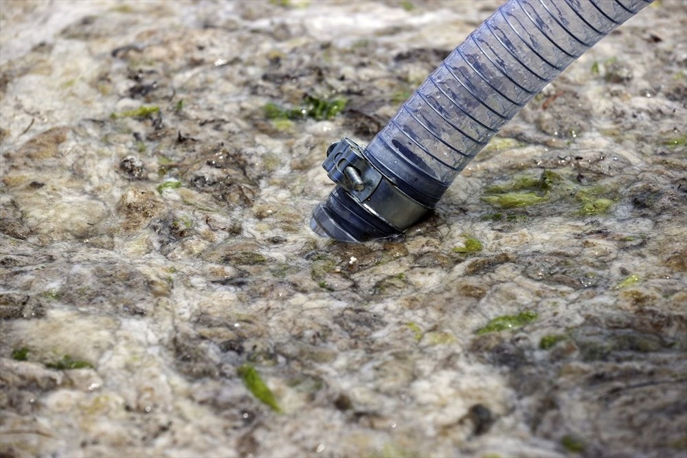 Marmara Denizi Eylem Planı: Müsilaj (Deniz salyası) temizliği başladı - 1