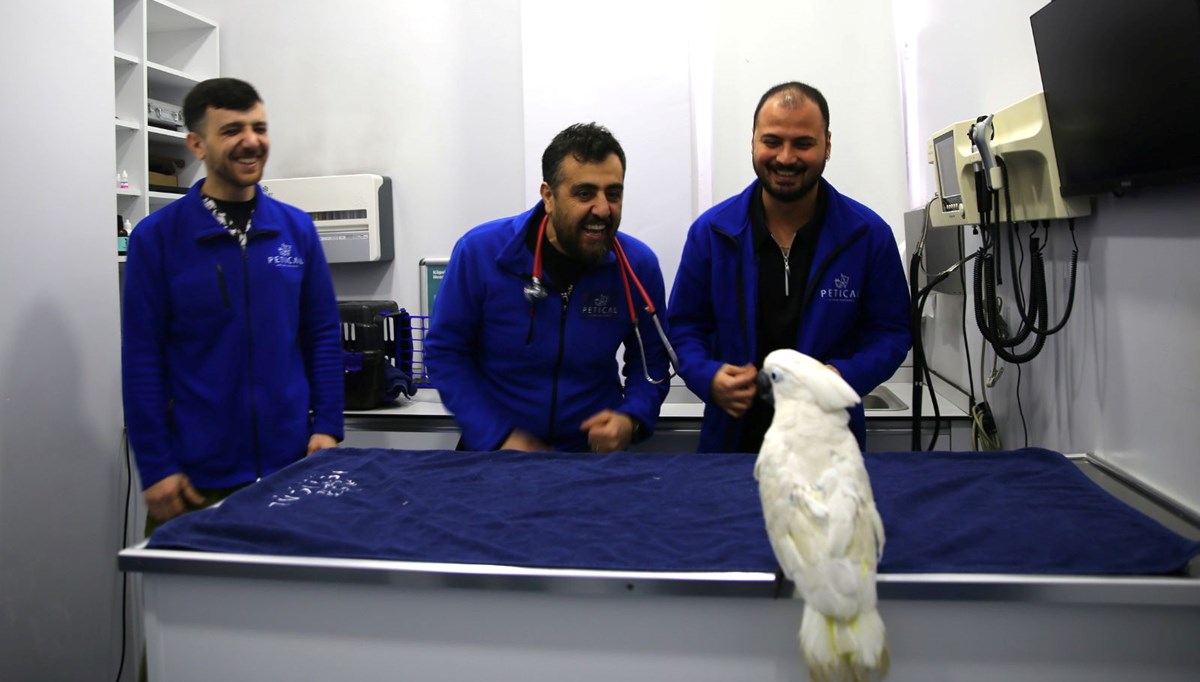 Veterinerlerle dans eden papağan Veterinerlerle dans eden papağan