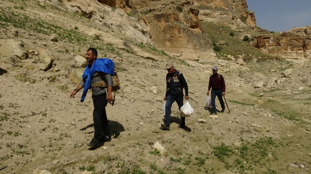 "Yılan otu" olarak da biliniyor, mevte meydan okuyup topluyorlar: Hastalıkların şifası bitki 75