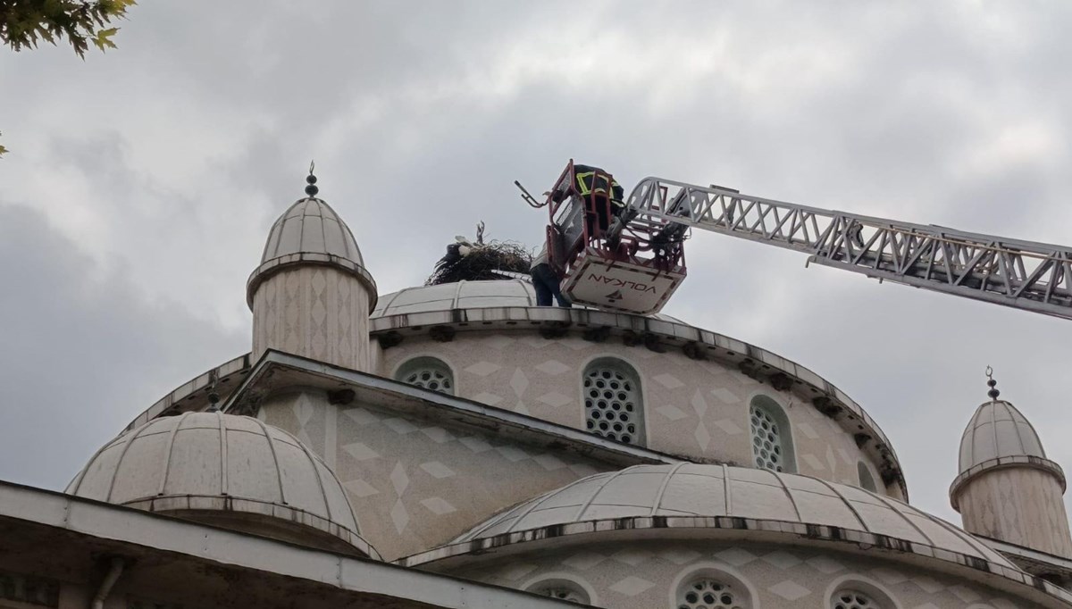 Cami kubbesinde ayağı sıkışan leylek kurtarıldı