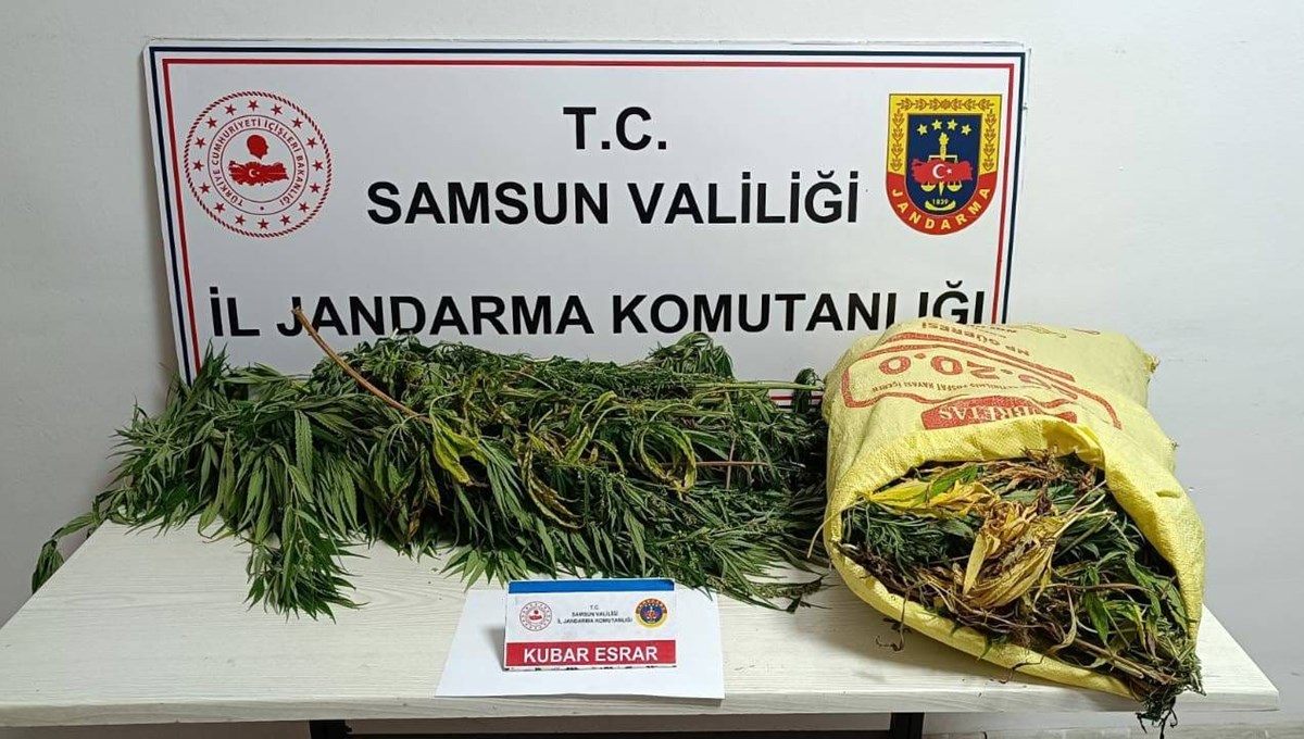 Jandarmaya 12 kilo esrarla yakalanan kadın tutuklandı