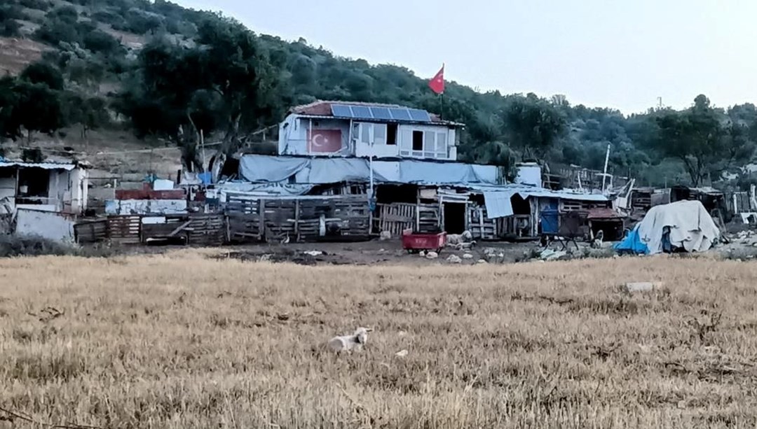 İzmir'de çiftlik evinde cinayet Çiftlik sahibi kaçtı çoban öldürüldü