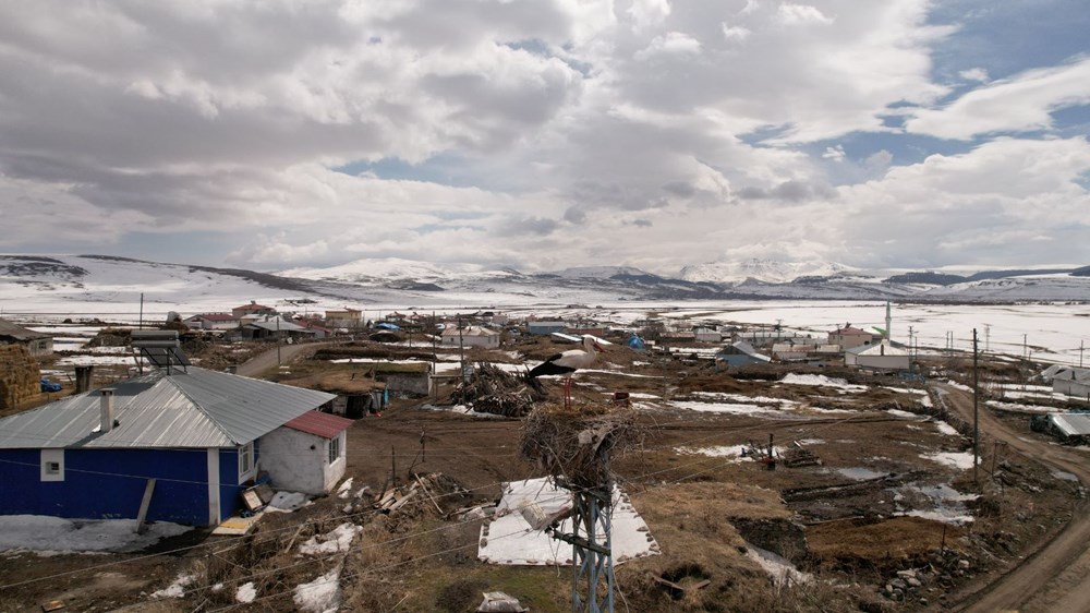 Baharın müjdecisi leylekler karla kaplı Ardahan'da - 1