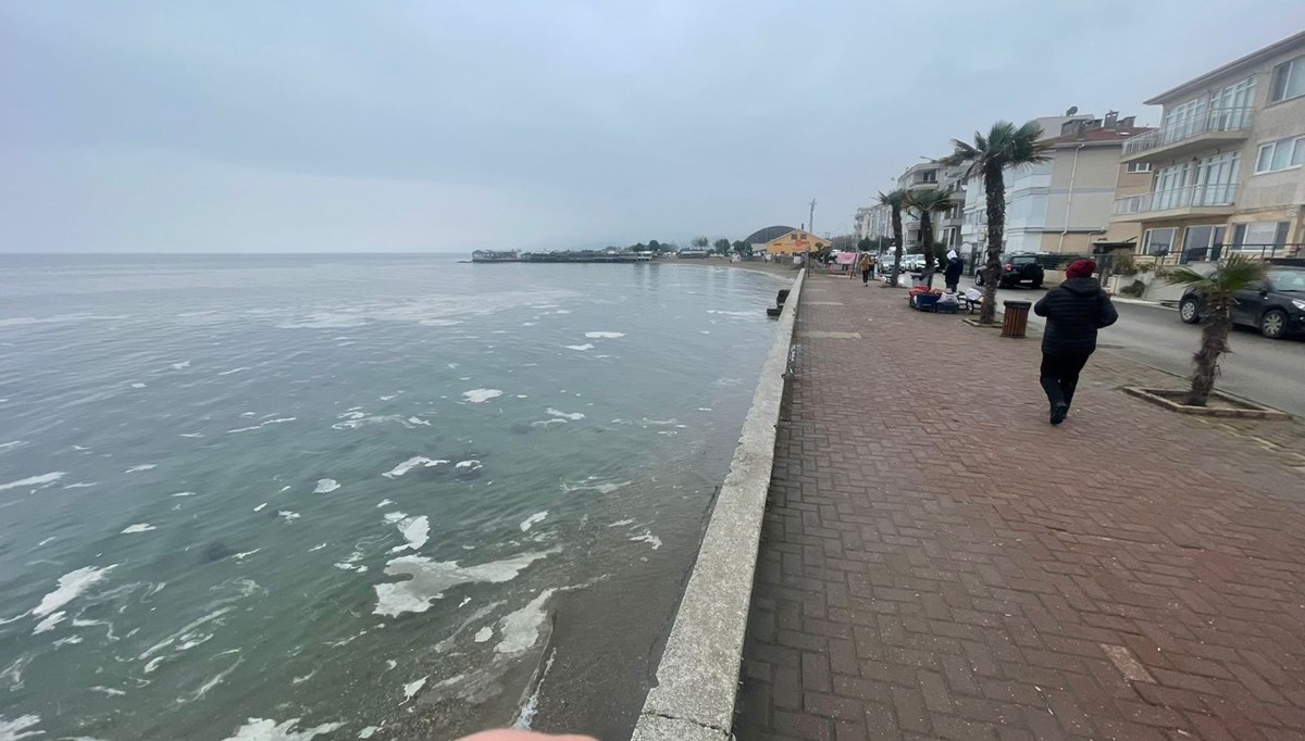 Marmara Denizi'nde müsilaj tehdidi: Deniz beyaz tabakayla örtüldü