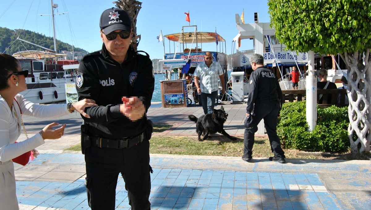 Muğla'da köpek saldırısında bir polis memuru yaralandı Muğla'da köpek saldırısında bir polis memuru yaralandı
