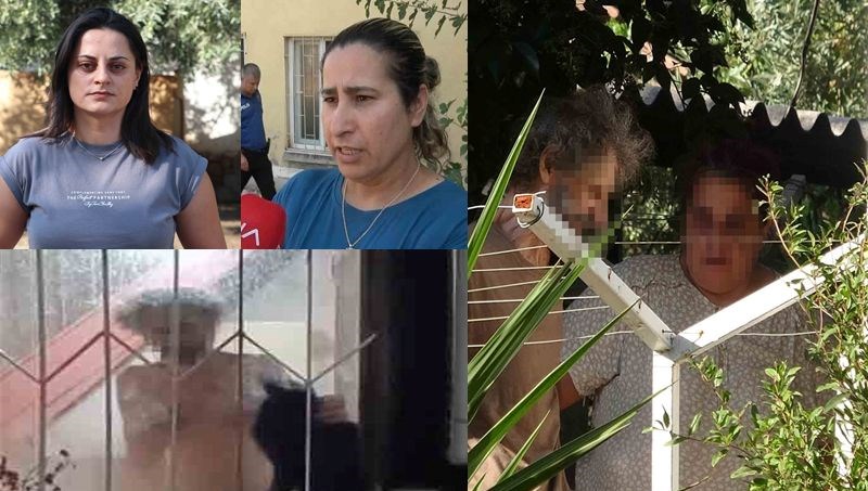 17 kedi öldü, yeniden hayvan toplama başladılar
