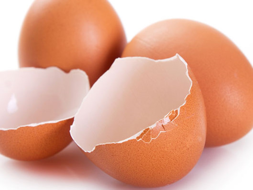 Turk Profesorlerin Calismasi Avrupa Romatoloji Kongresinde Kabul Gordu Saglik Haberleri Ntv