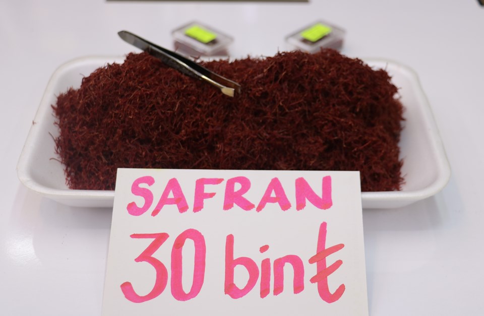 Sivas'ta safranı cımbızla topluyor, kilosunu 30 bin TL'ye satıyor - 2