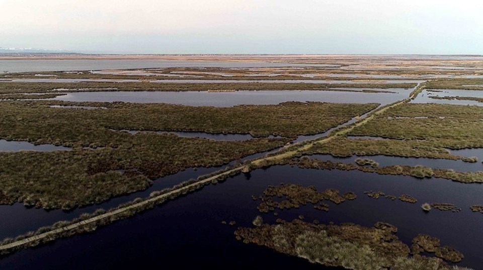 Kızılırmak Deltası 'Kesin korunacak hassas alan' ilan edilecek - 2