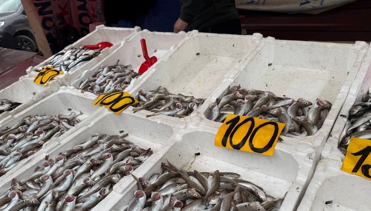Balık fiyatlarında düşüş