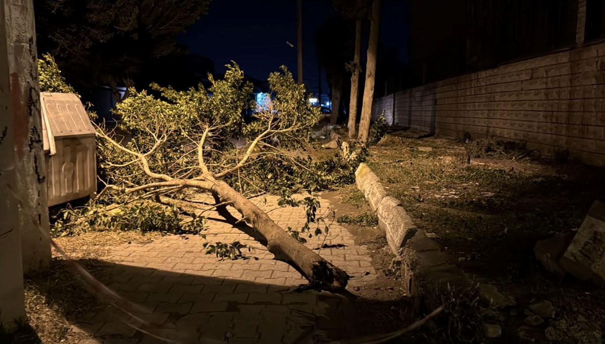 Hatay'da fırtına: Ağaçlar devrildi, evlerin çatısı uçtu