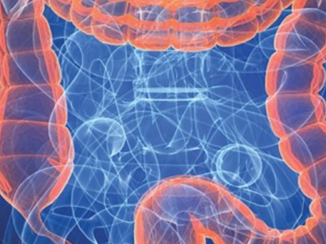 Kolonoskopiden Korkanlara Iyi Haber Saglik Haberleri Ntv