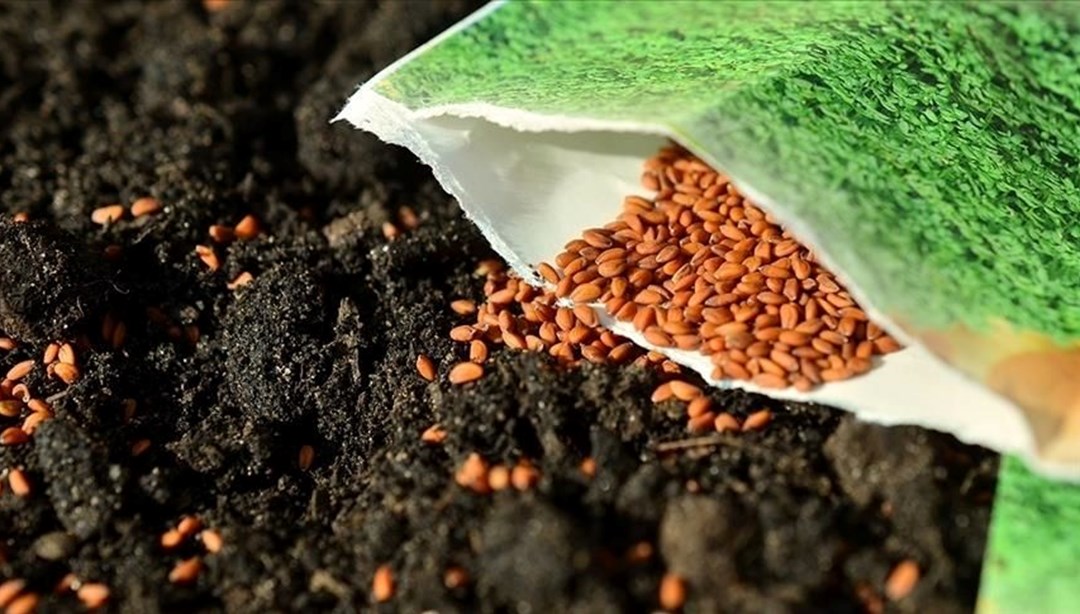 Çiftçilere 720 ton tohum desteği