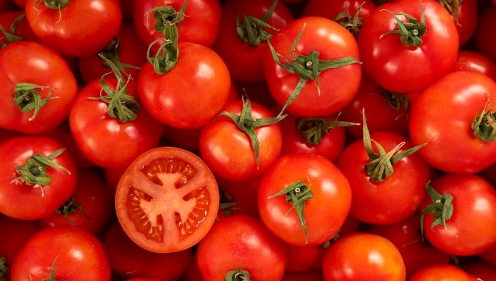 11,5 kilo virüslü domates tohumu ele geçirildi