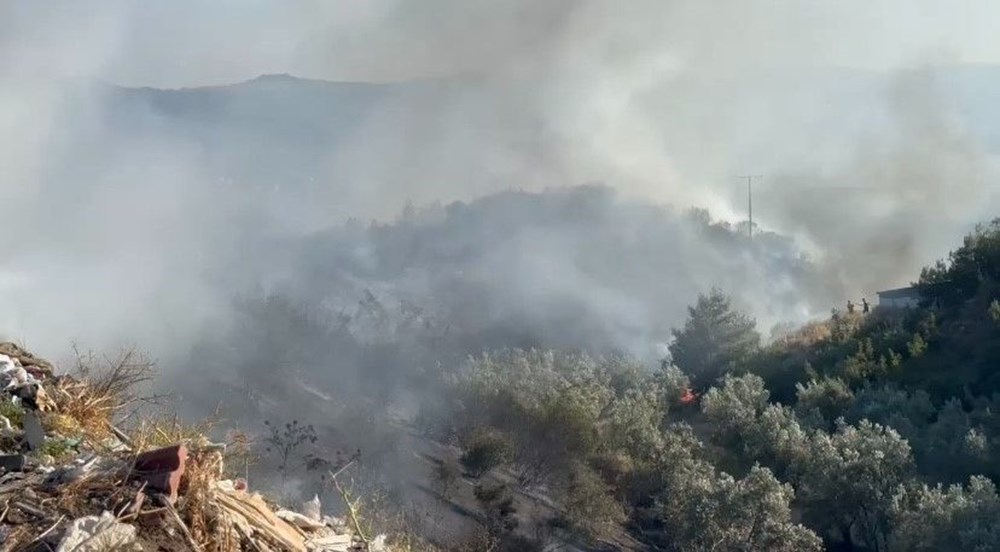 Uşak'ta orman yangını: 40 saat sonra kontrol altına alındı - 6