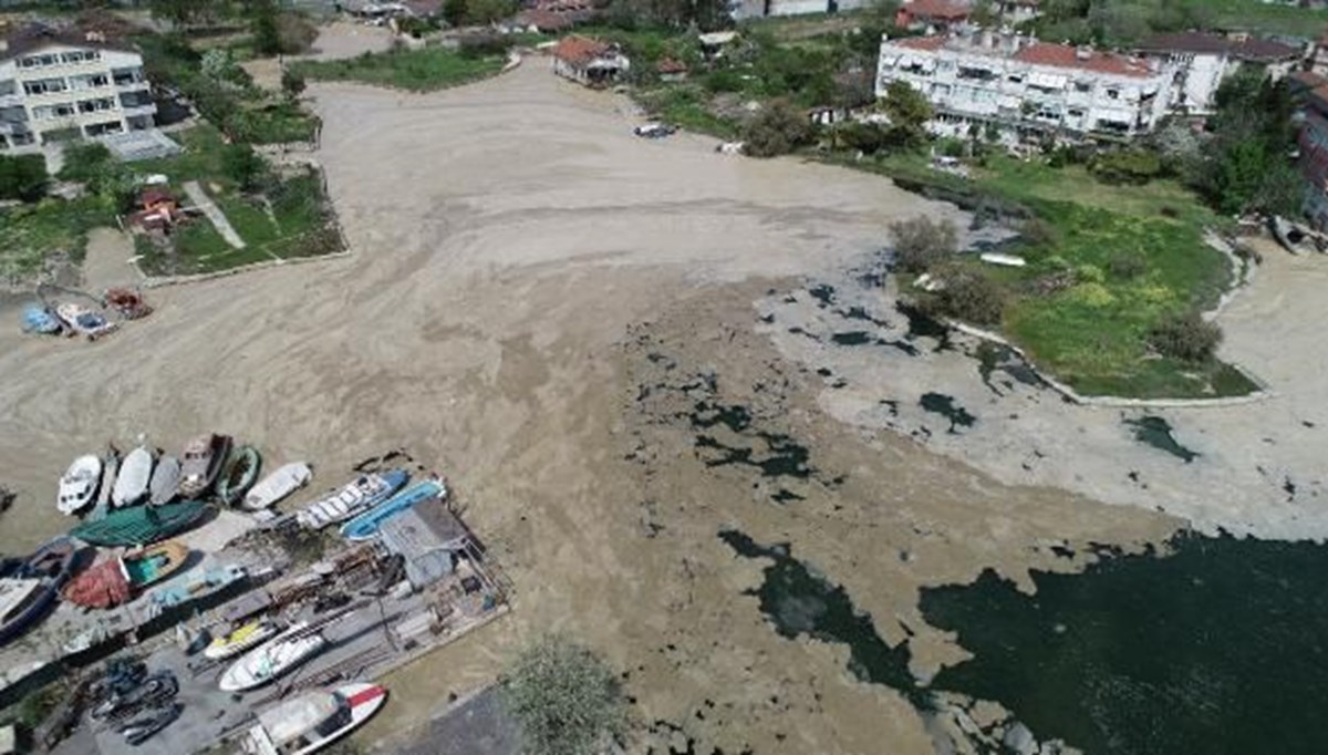 Menekşe deresi deniz salyası ile kaplandı; 25 senedir ilk defa görüyorum