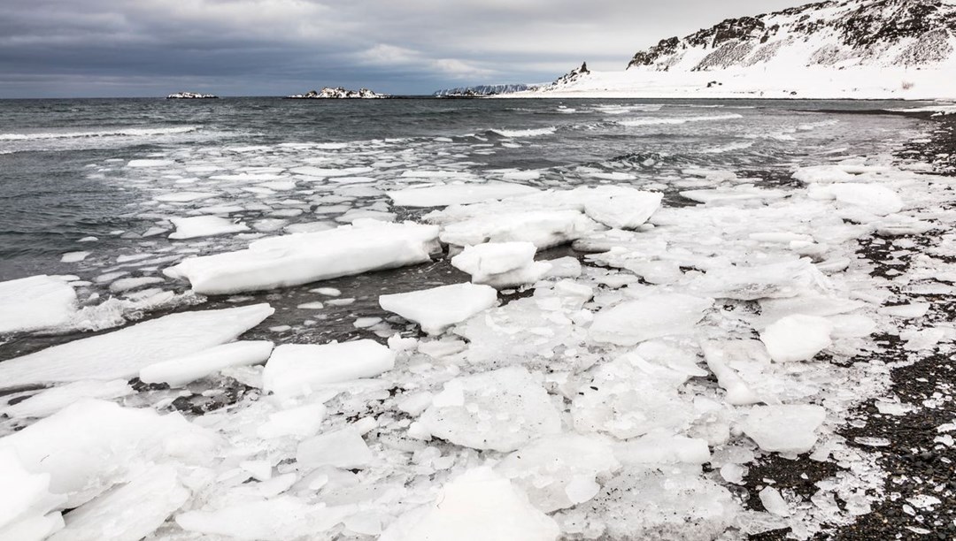Araştırma: Kuzey Kutbu ortalamadan yedi kat fazla ısındı