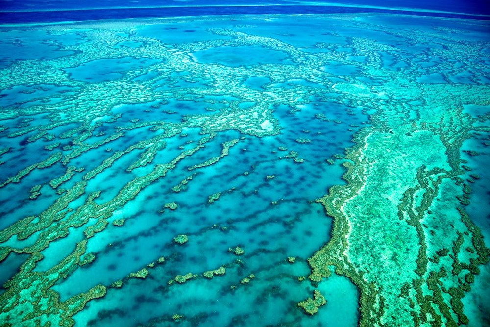 BM ve Avustralya karşı karşıya geldi: Büyük Set Resifi - 4
