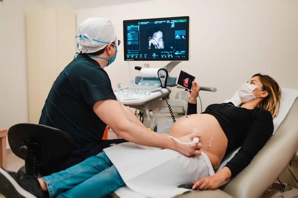 Harvard Üniversitesi: Covid-19’lu hamile ölümlerinin nedeni bebeğin cinsiyeti olabilir - 4