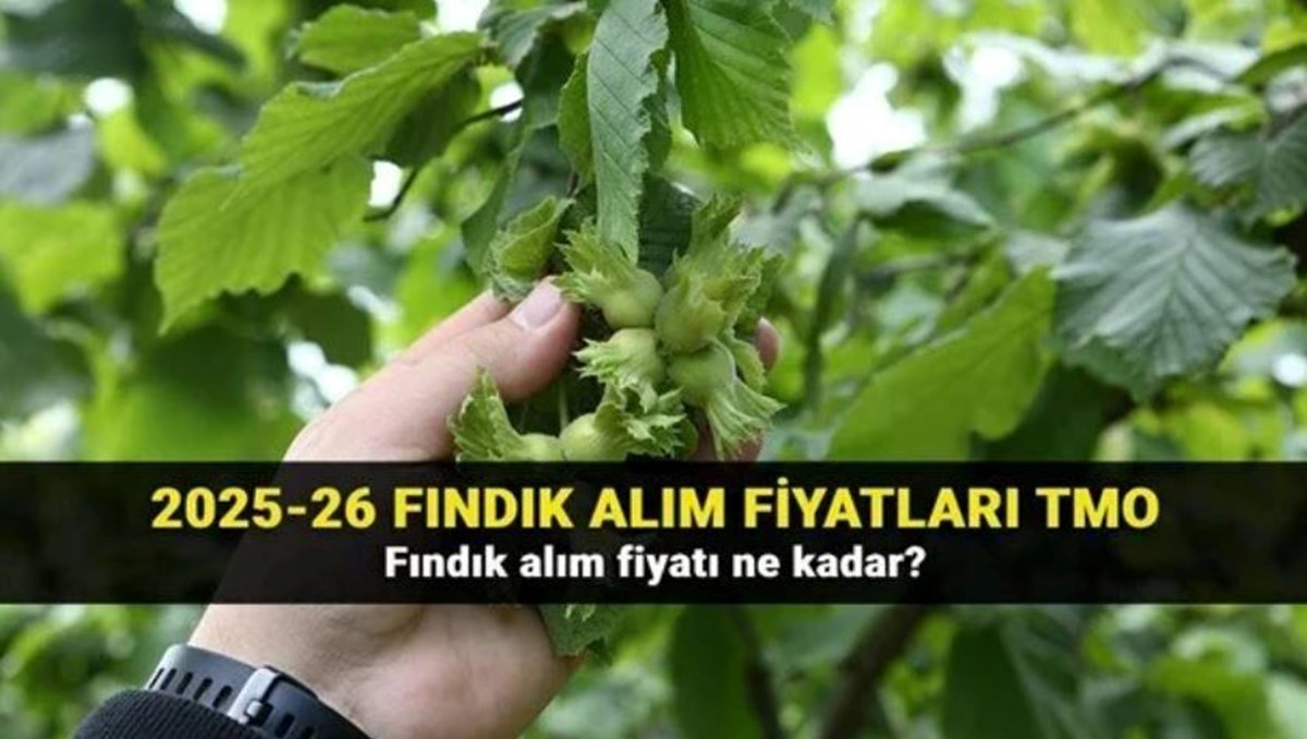 bZdrIpZtpEqrav-4_Tigmg.jpg
